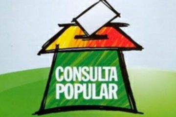 consulta